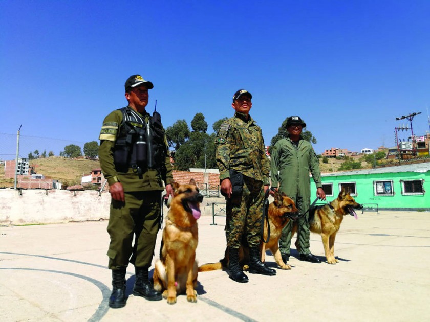 Conmemoran el aniversario 58 del Centro de Adiestramiento de Canes de