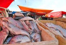 Intendencia de Tarija busca reubicar a los vendedores de pescado que ocupan la vía en el barrio 3 de Mayo