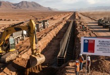 Las zanjas de Kast: animales y humedales del Altiplano están en riesgo por el plan fronterizo de Chile