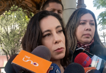 Gobernación de Tarija mediante el PERTT ejecutará la plantación de 30.000 plantines de especies melíferas para fortalecer la apicultura y la reforestación